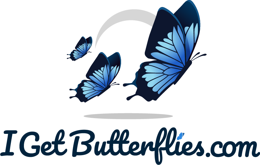 novelty-i-get-butterflies